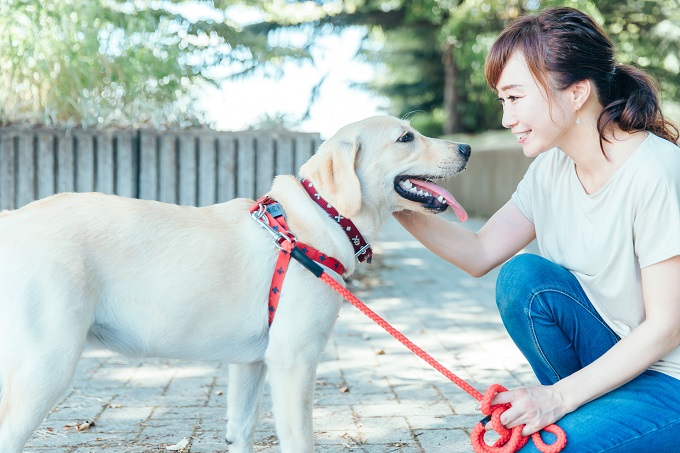 犬と女性