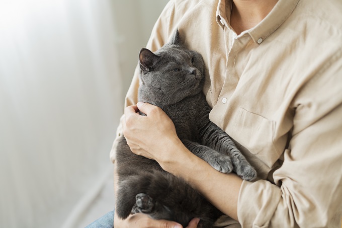 猫を抱っこする人