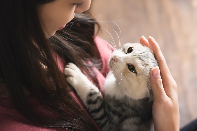 猫を抱く人